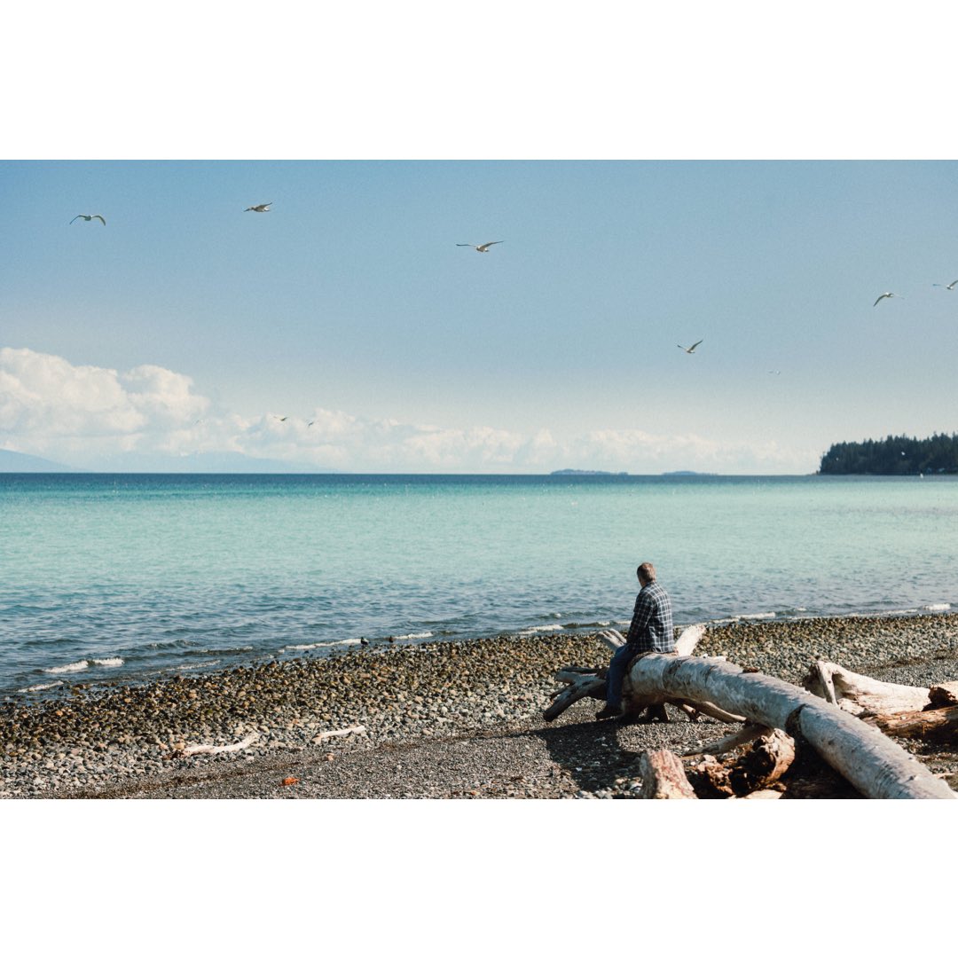 robinferand's tweet photo. Herring run from Qualicum on Vancouver Island, BC.

#herringrun #vancouverisland #britishcolumbia #ShotOnCanon https://t.co/29ERfOe5l1