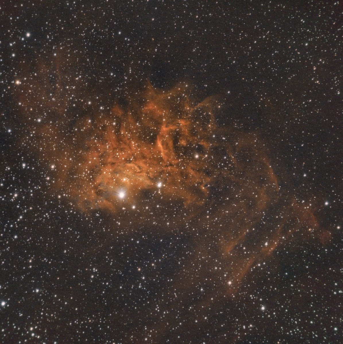 David Regordosa tweet media