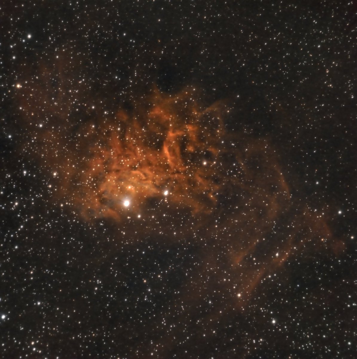 David Regordosa tweet media