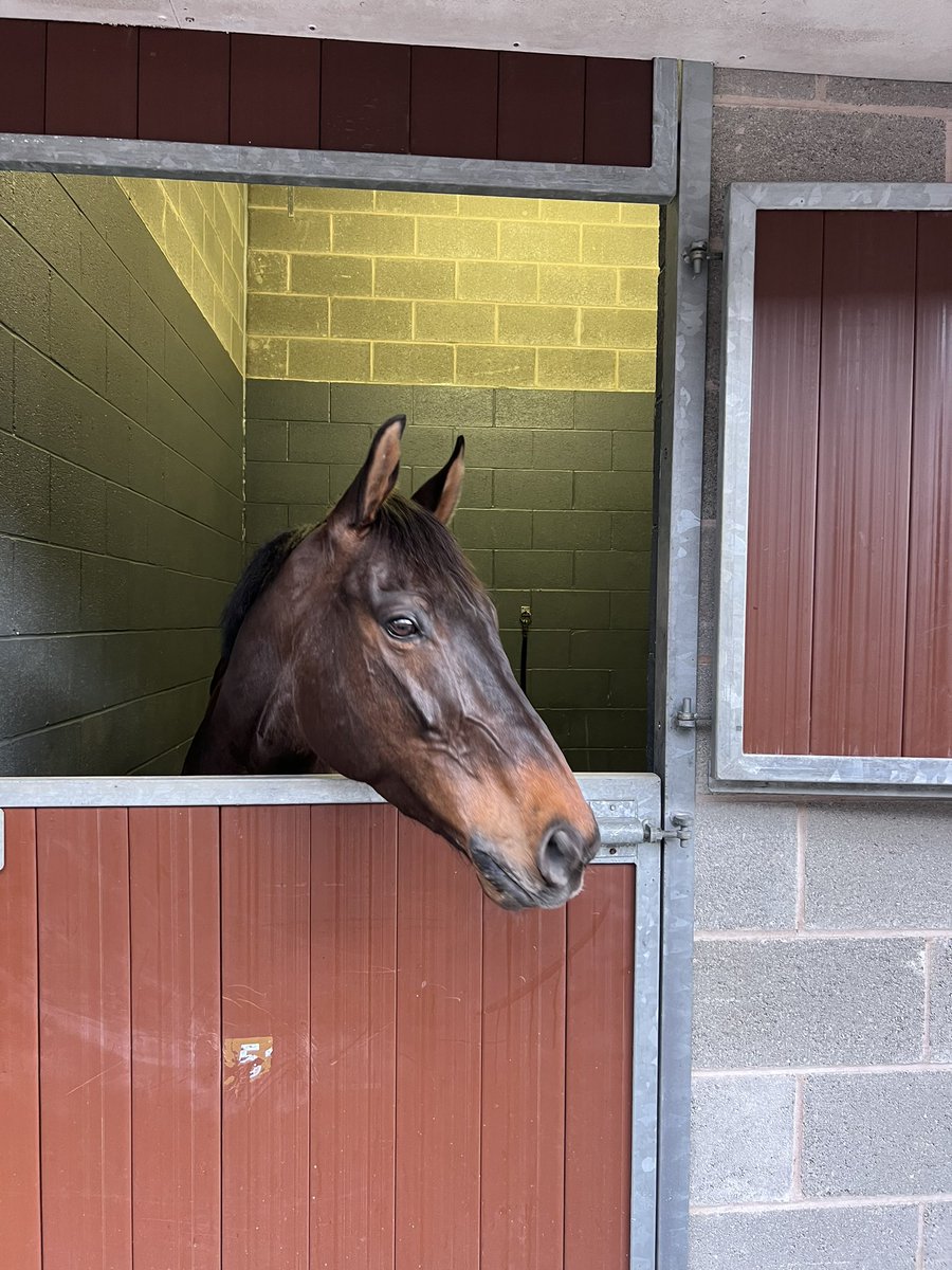 Migration is now retired, we have to think about the great times we’ve had with him especially Glorious @goodwood, @doncaster and @yorkracecourse . He came back to the crime scene of last year’s exploit today for his final “lap of honour”. Thank you Migration for the amazing…