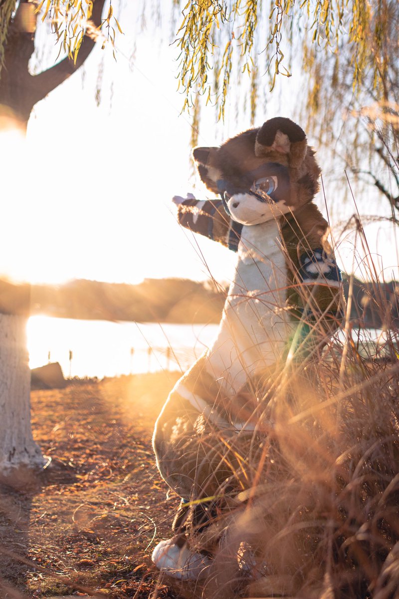 寻光

Photo by <a href="/Wolf_Bul/">布鲁</a> 
#ATOAMA2024