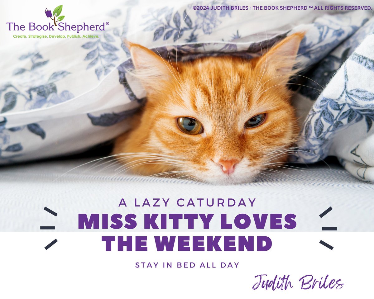 mybookshepherd's tweet photo. A Lazy Caturday ... Miss Kitty Loves The Weekend ... stay in bed all day.
https://t.co/j47gezrR4K
#JudithBriles #TheBookShepherd #LazyCaturday #WeekendVibes #CaturdayNaps #CatsofInstagram #LazyWeekend #ChillTime #SaturdayMood #CatNaps #LazyDay #WeekendCuddles https://t.co/mTReUsybpC