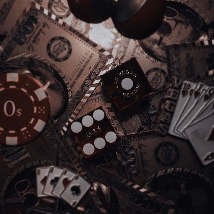 _xiny0_'s tweet photo. I got silly brown!!
-Aesthetic 
-Character 
-Flower
-Album (The song is called "Die house" by The musical ghost and OR3O https://t.co/Sb8Hkcjx9b