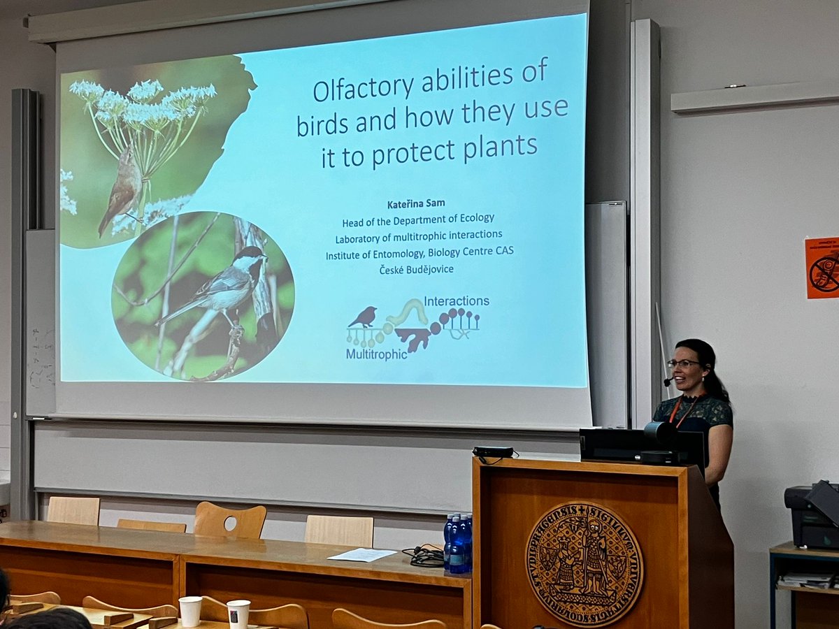 Our second plenary for the day, Katerina Sam will give us insight into multitrophic interactions between birds🐦, insects🐛🪲 and plants 🍀🌳
<a href="/CzSam00/">Katerina Sam</a>