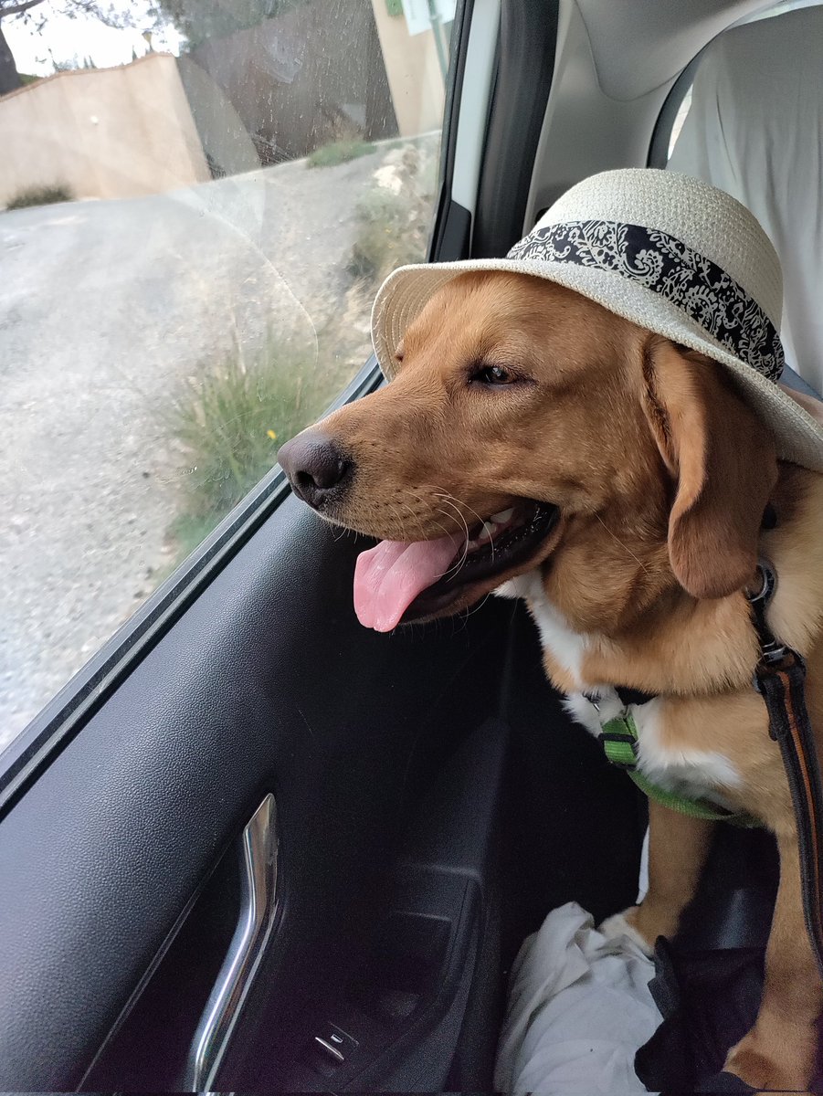 Alexis Robledillo tweet media