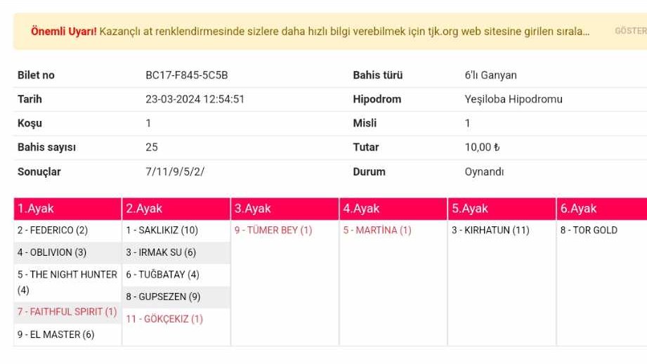 şansıma düküreyim 10 tllij kupon