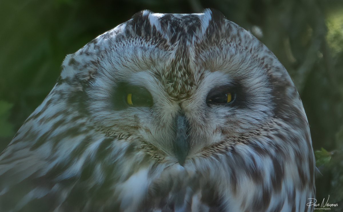 Dave Newman's Spherical Photography tweet media