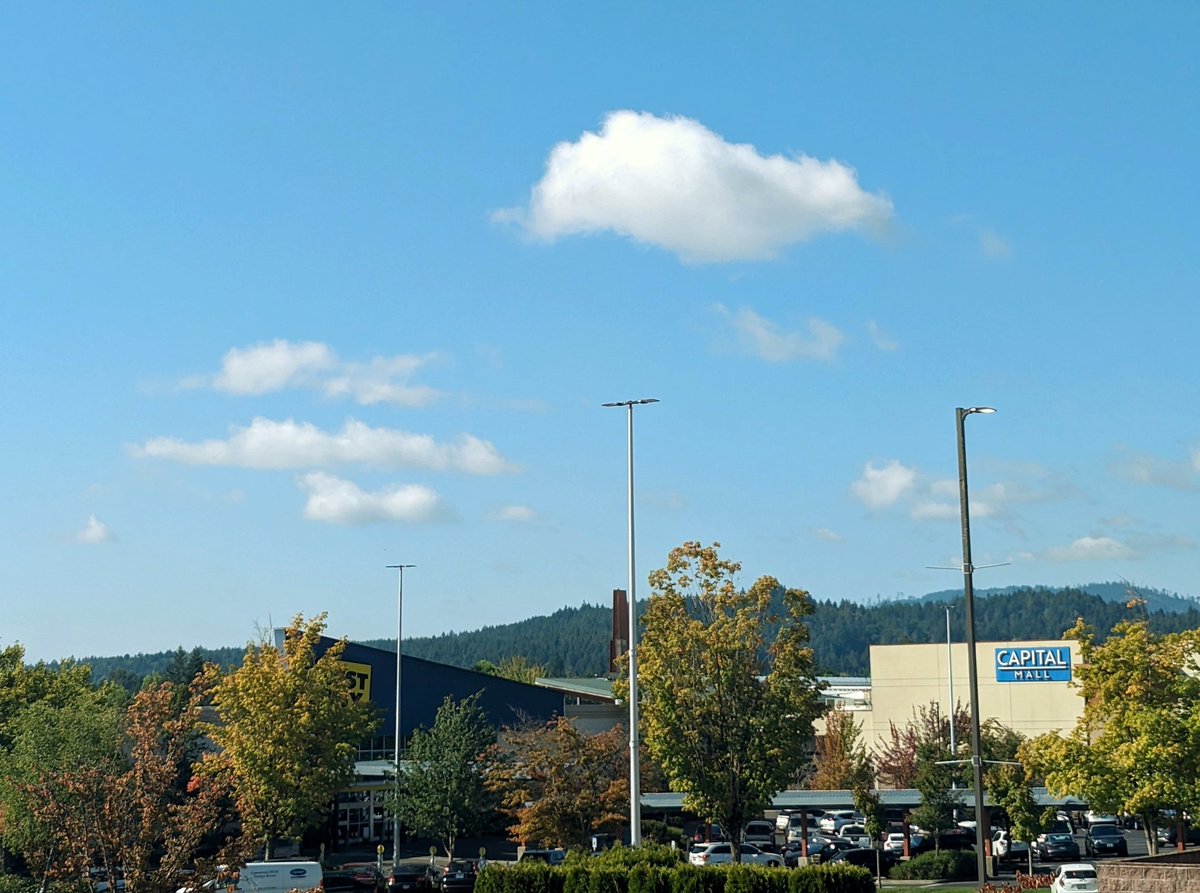 What's happening today at Capital Mall:

From 11:00 AM to 8:00 PM, indulge in a culinary adventure at our food truck rally!

Plus, dive into a magical experience with our mermaid story time from 10:00 AM to noon at our enchanting children's play place. ✨🧜‍♀️