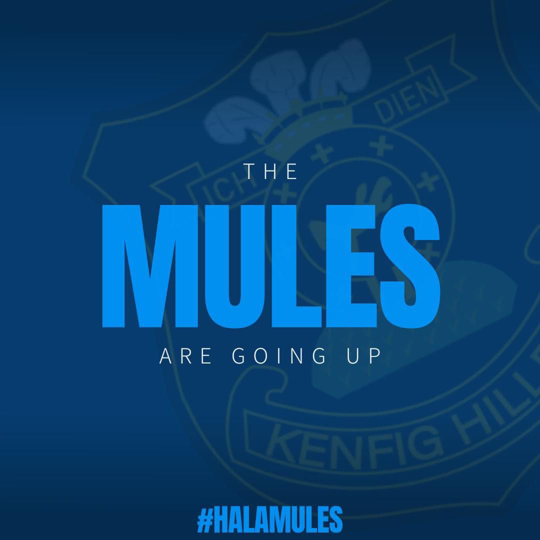 #HalaMules 👍🏉