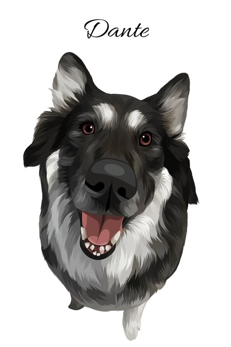Knightofnoname's tweet image. Rest in peace Dante
You're with the angels now and I'll see you again someday, I know it.
Dante (2010-2024)
Rest in peace, little furry angel.