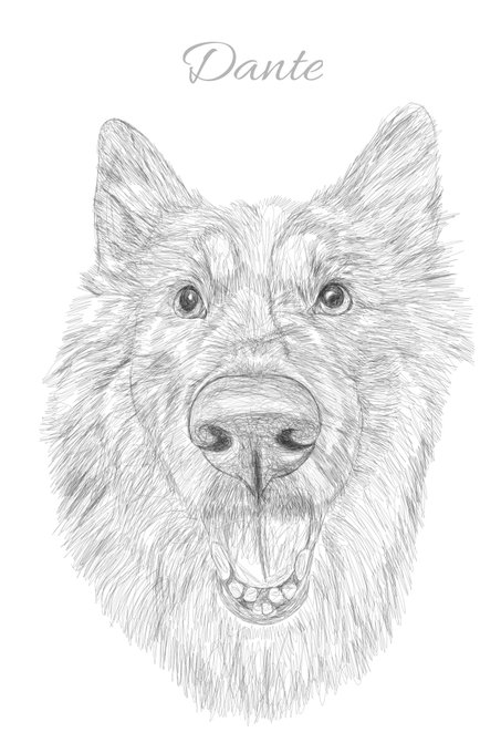 Knightofnoname's tweet image. Rest in peace Dante
You're with the angels now and I'll see you again someday, I know it.
Dante (2010-2024)
Rest in peace, little furry angel.