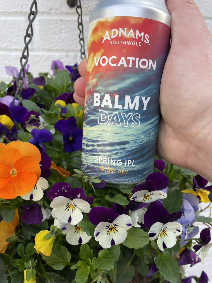 The latest beer released from <a href="/Adnams/">Adnams Southwold</a> is here in #saffronwalden a lovely crisp IPL in collaboration with <a href="/vocationbrewery/">Vocation Brewery</a> it’s a perfect spring time ale @Solebear #seastheday