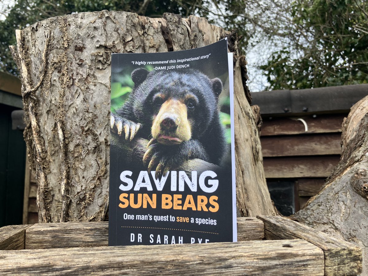 Discover Animals (@dscvranimals) on Twitter photo Our latest #BookontheBirdTable is Saving Sun Bears by <a href="/AuthorSarahPye/">Dr Sarah Pye</a>, which follows the inspirational work of Malaysian ecologist Dr Wong Siew Te.
discoveranimals.co.uk/news/book-bird…
Buy the book: tidd.ly/4atJhgj
#books #bookreview #affiliate #wildlife #conservation #sunbears Our latest #BookontheBirdTable is Saving Sun Bears by <a href="/AuthorSarahPye/">Dr Sarah Pye</a>, which follows the inspirational work of Malaysian ecologist Dr Wong Siew Te.
discoveranimals.co.uk/news/book-bird…
Buy the book: tidd.ly/4atJhgj
#books #bookreview #affiliate #wildlife #conservation #sunbears