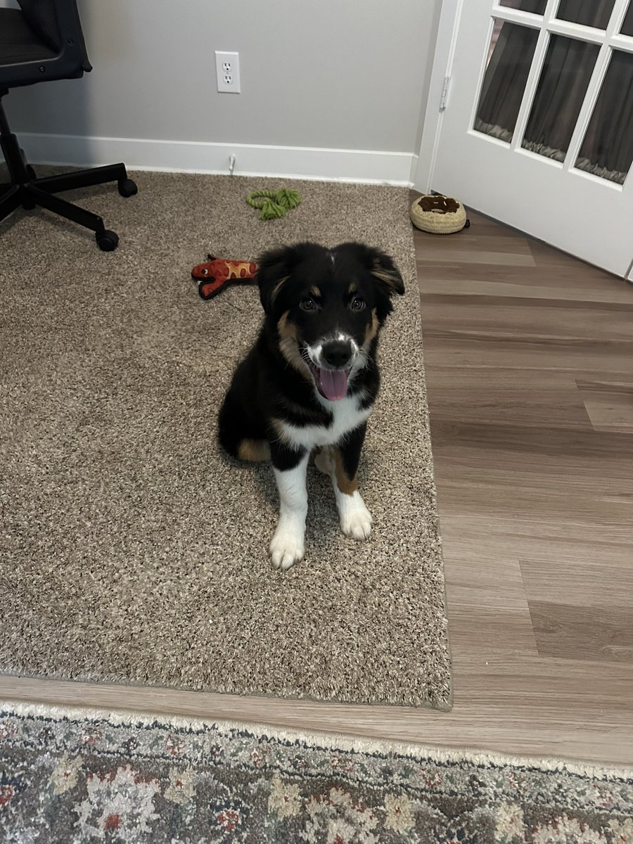 Larry Gist tweet media