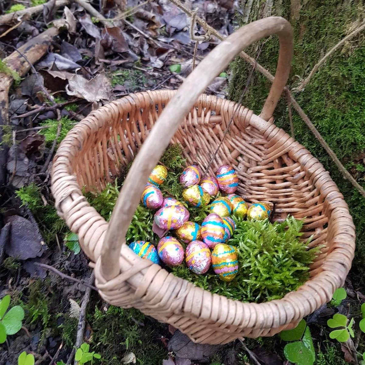 Join us this Easter at Swinton Bivouac! Enjoy miles of walking trails, bike tracks, and other outdoor activities, from bug hunting to geocaching, or explore the Druid’s Temple; there's plenty to do in the fresh air. For more information, visit: ow.ly/pZ8T50R0lbu