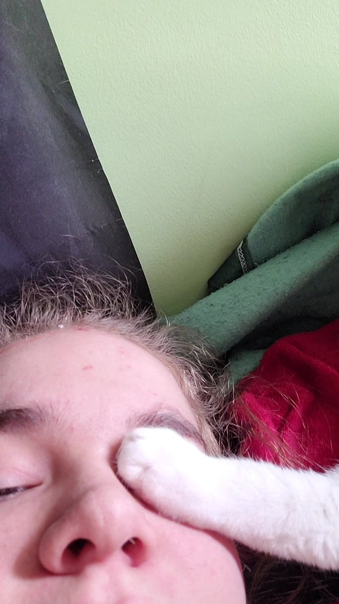 UUzuru's tweet photo. My cat, the saga https://t.co/XSR0AvqyZk