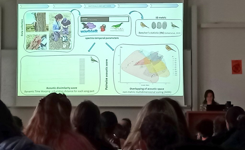 One of several amazing talks at #EOUFledglings2024 ! <a href="/ZampaLia/">Lia Zampa</a> shared her findings on differences in identity coding in learning and non-learning birds 🐦🕊️🔊😍

<a href="/FM_EOU_2024/">EOU Fledglings Meeting 2026</a>