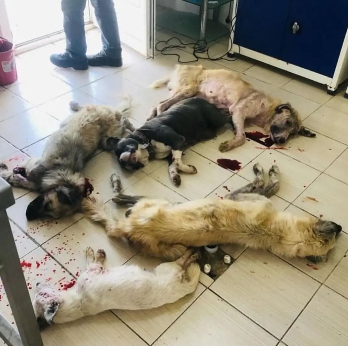 OnNumara (@dokuzolmaz) on Twitter photo 