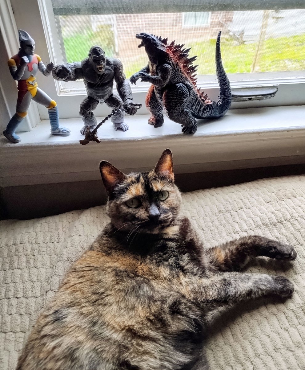 Quinn, a queen among kaiju 🦖🦍🤖👑😸😏 #actionfigures #Godzilla #Kong #JetJaguar #sillykitty #tortieswithcartoonists