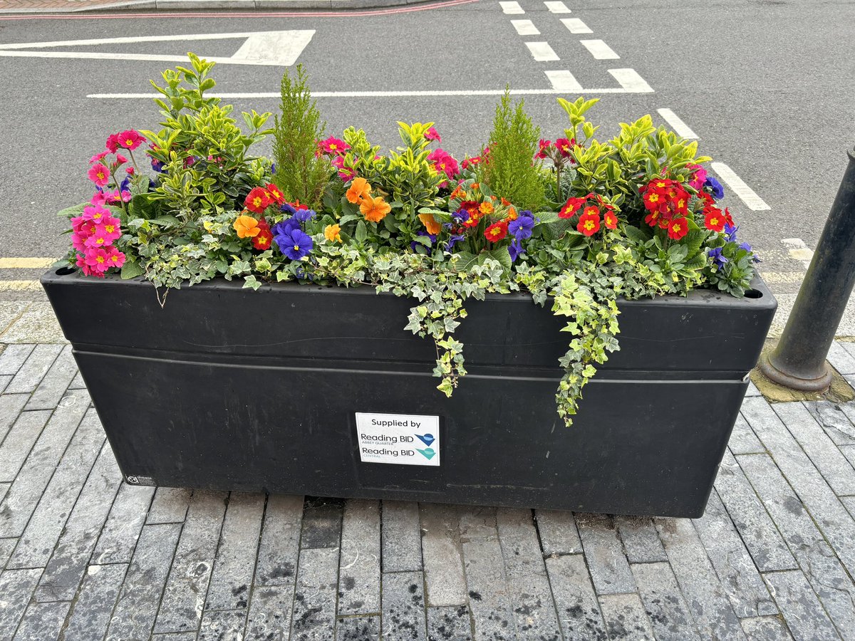 Winter colour <a href="/ReadingBID/">Reading Central & Abbey Quarter BID</a> <a href="/readinginbloom/">@ReadinginBloom</a>