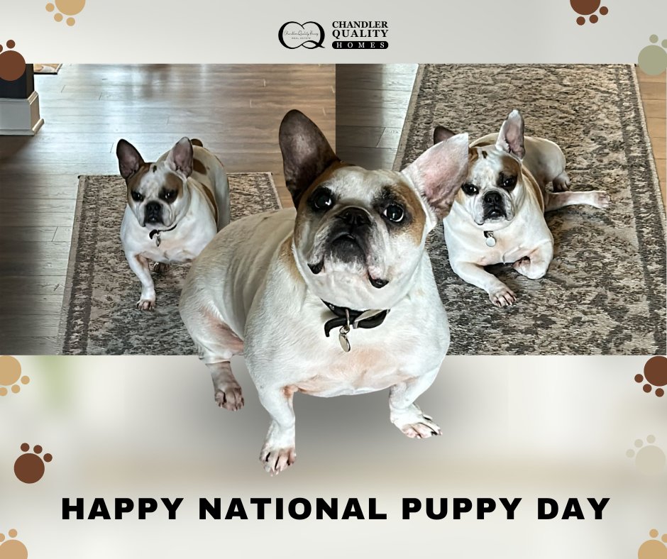 Paws-itively celebrating unconditional love, endless wagging tails, and furry cuddles on National Puppy Day! 🐾💖

#PawsomePups 
#NationalPuppyDay 
#PuppyLove
#FurryFriends
#PawsAndPlay
#DogsofInstagram
#PawsomePups
#PuppyDay
#CanineCompanions