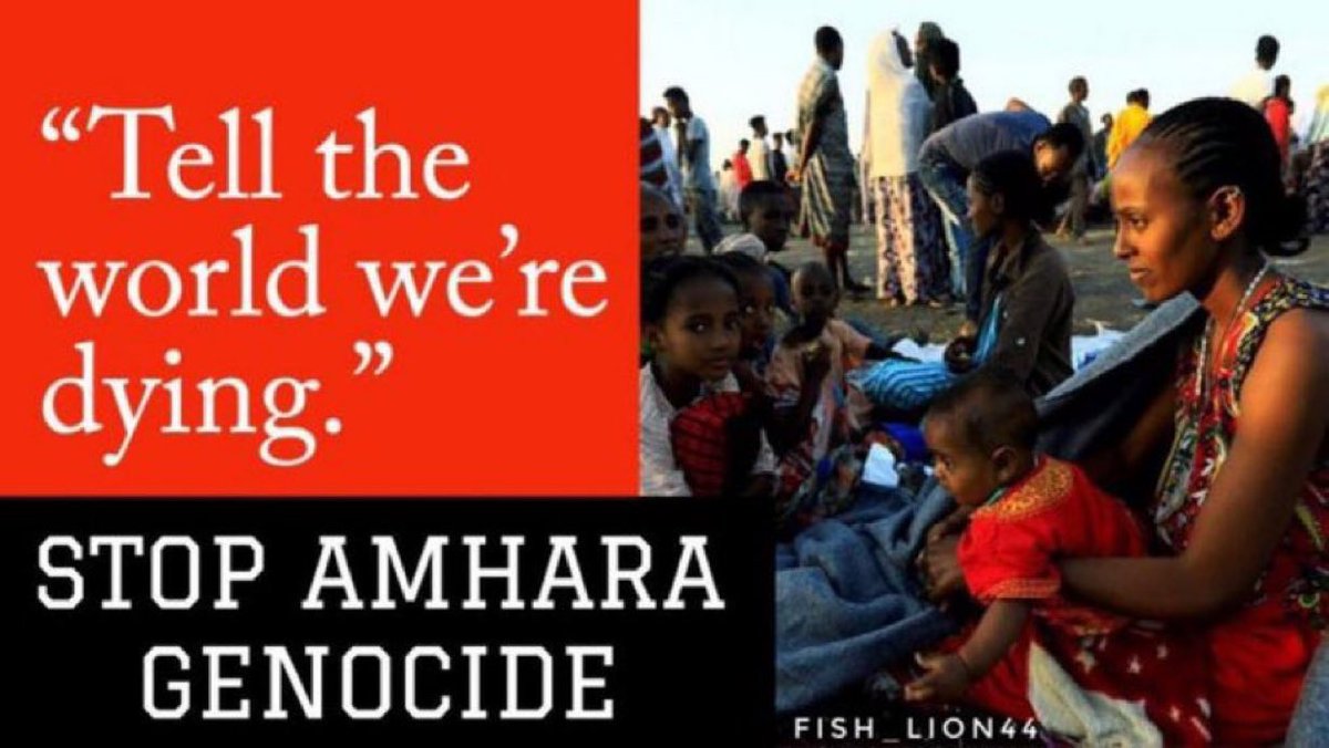 LeyatHona23's tweet photo. ‼️The international community must urgently condemn the #AmharaGenocide, faced with mounting evidence of atrocities. @hrw @amnesty @EUinEthiopia @StateDept @_AfricanUnion, break your silence- the evidence is clear and demands immediate attention. #WarOnAmhara @LemkinInstitute https://t.co/tTu857vcH2
