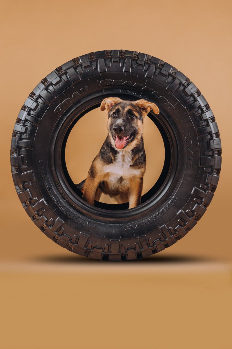 Fun Fact: the #TrailGrappler is puppy approved.