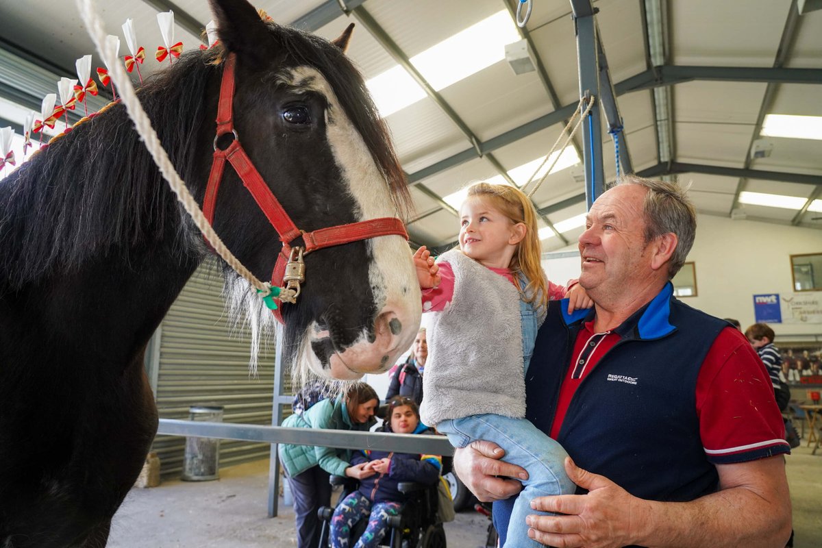 That's a wrap! Thank you for joining us at this year's Springtime Live! 📣🤩

We hope your little ones enjoyed meeting pigs, sheep, alpacas, ferrets, Shire horses, and giant tortoises. 🐷

See you all again next year! 🎉