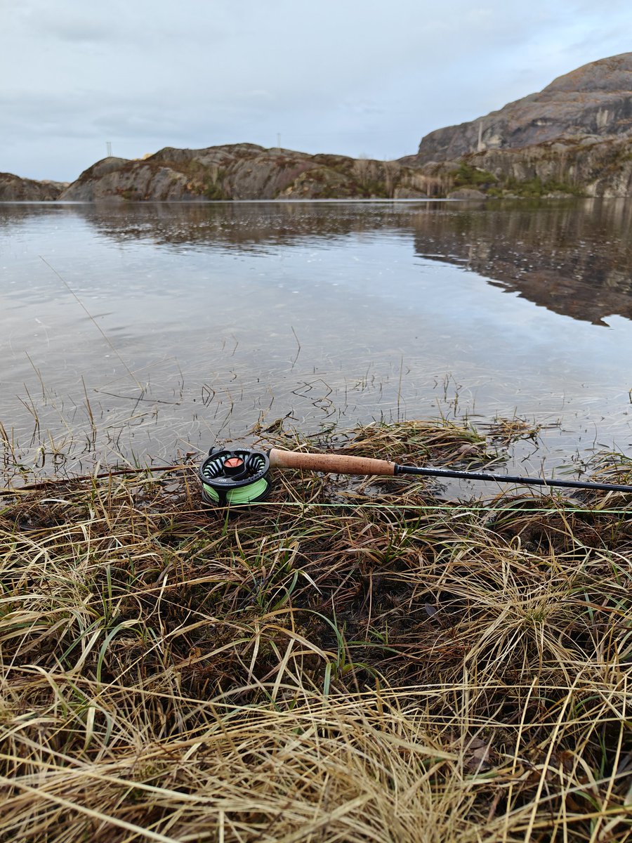 AtleM's tweet image. Sjelefred ❤️