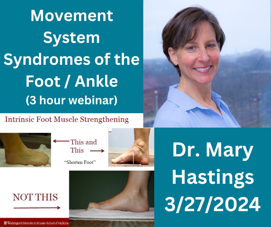 Learn Movement System tweet media