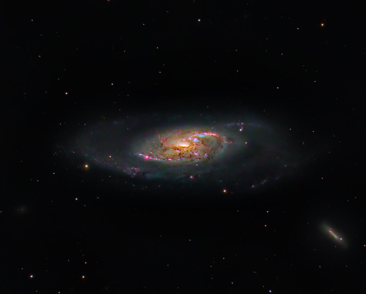 Andrew McCarthy tweet media