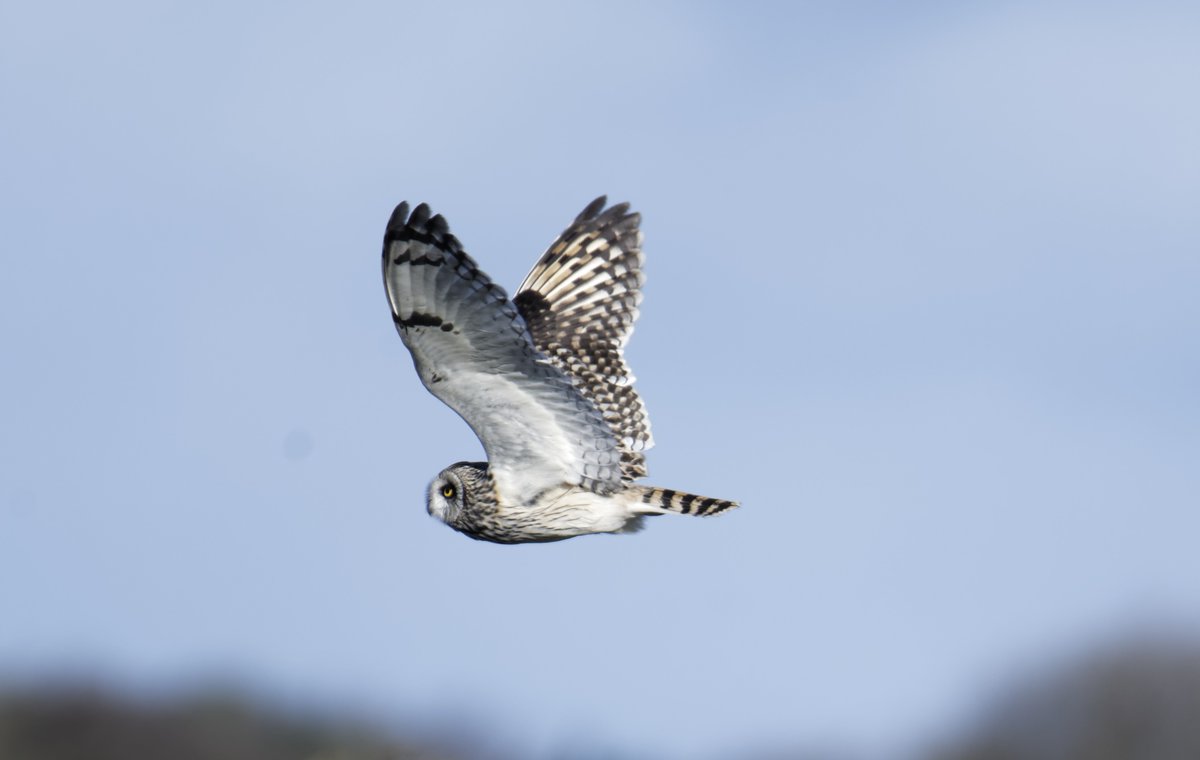 Fergal Stanley tweet media