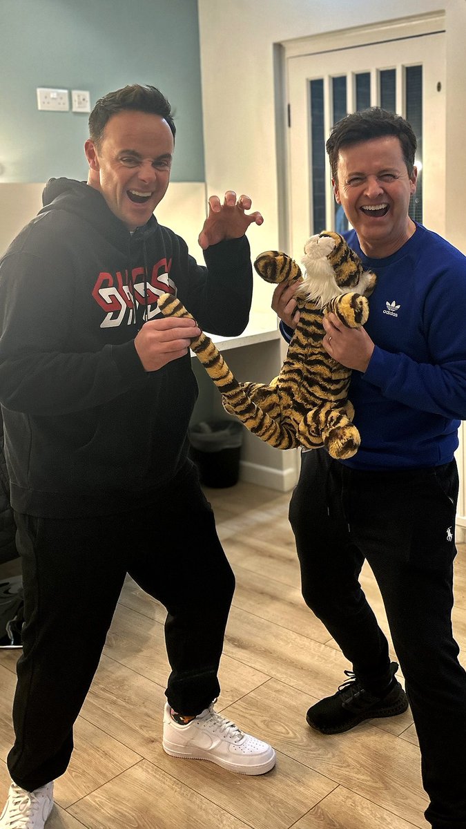 antanddec's tweet photo. Thanks for all your votes, this week we’re hiding… Dec’s tiger! 🐯 

Make sure you’ve got your eyes peeled when you’re watching #SaturdayNightTakeaway tonight and if you see it, screen grab it and post it using #ICanSeeYourThing 👀

We’ll see ya at 7pm 🎉 https://t.co/9mFJYlx4FI