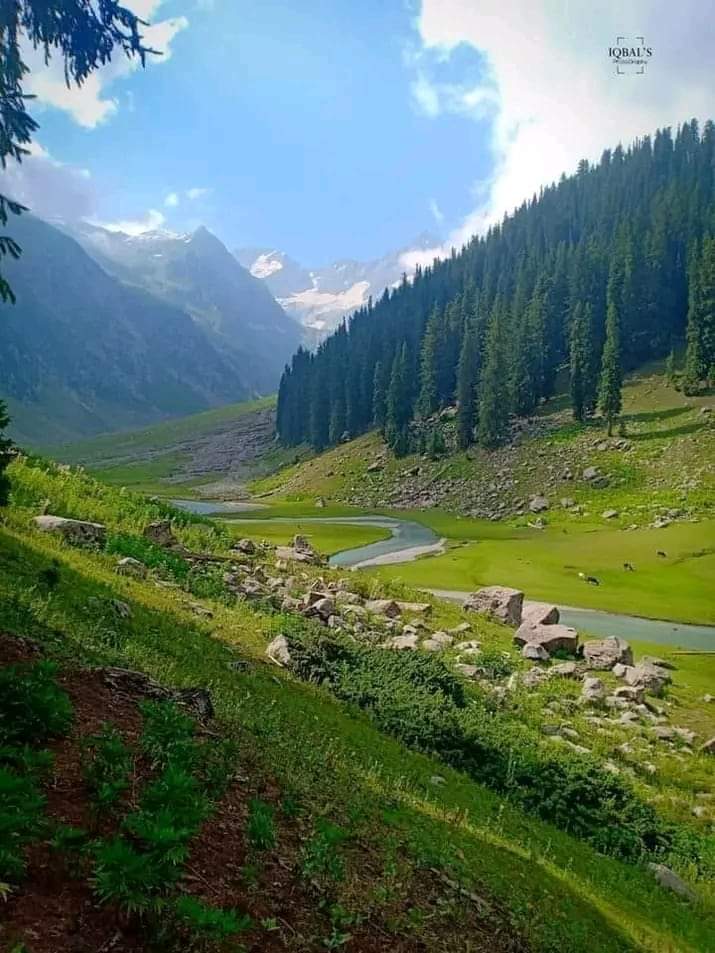 afzalhassan2's tweet image. کنڈ بانڈہ، کمراٹ ویلی، اپر دیر۔۔🏞🌲
Mesmerizing Kund Banda of Kumrat Valley 💕
#tourism #Kumrat #explore #explorepakistan #MoscowAttack #Moskau