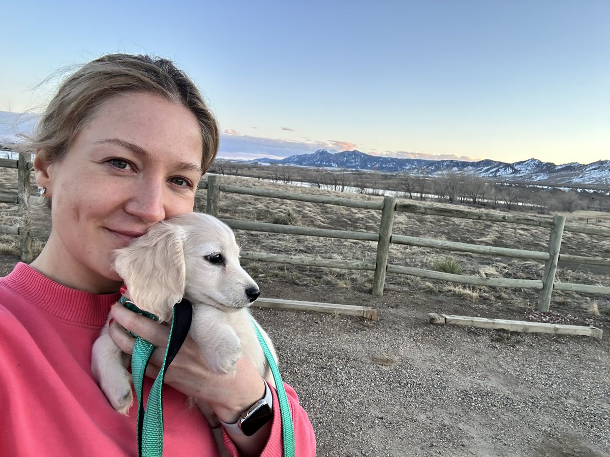 Christen Dybenko tweet media