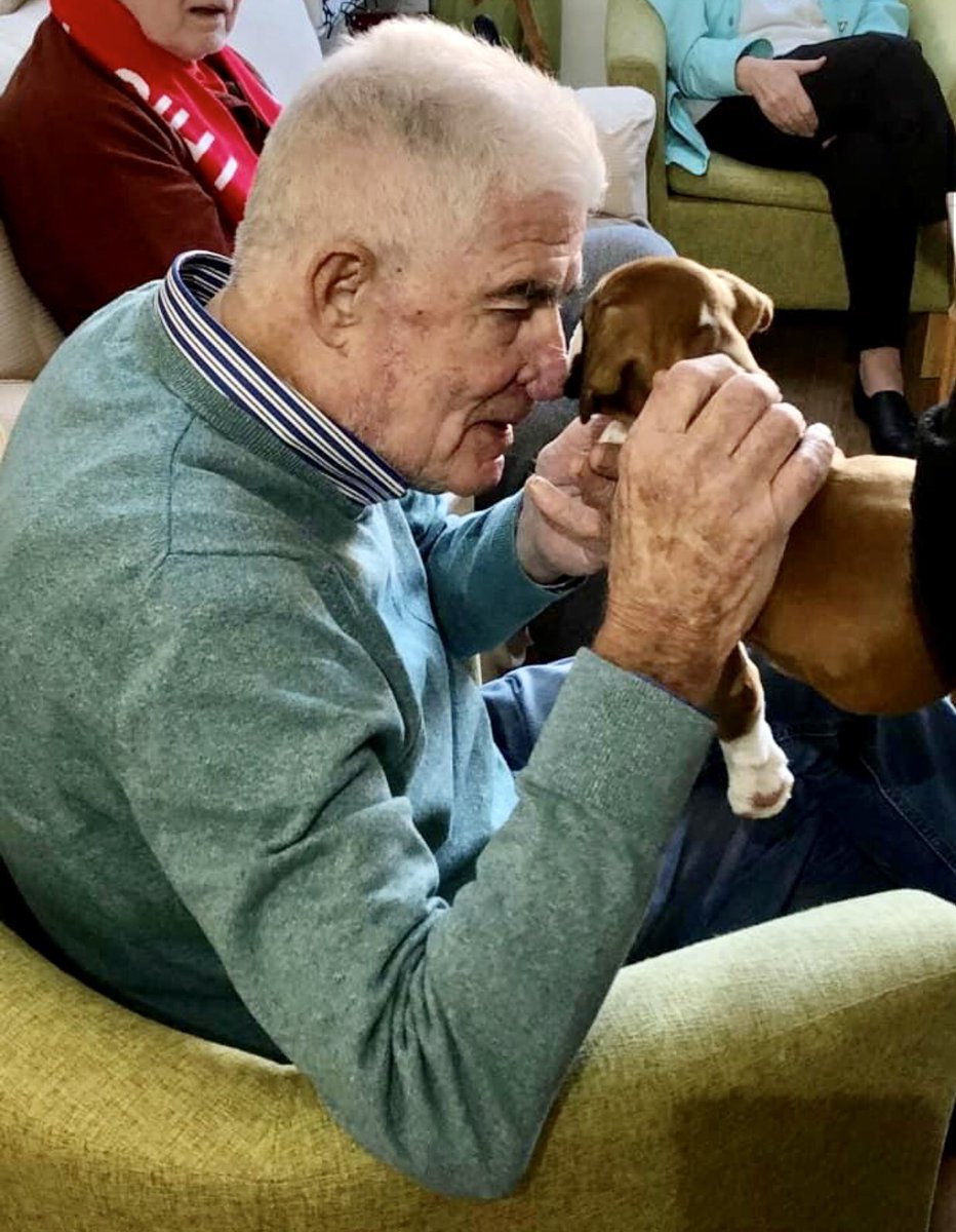 As it’s #nationalpuppyday I’ve just got to share some pics of our beautiful Penny &amp; Lucy as the cutest little pups 🥰💖🐶💖 (plus our old girl Bella 💖) xXx