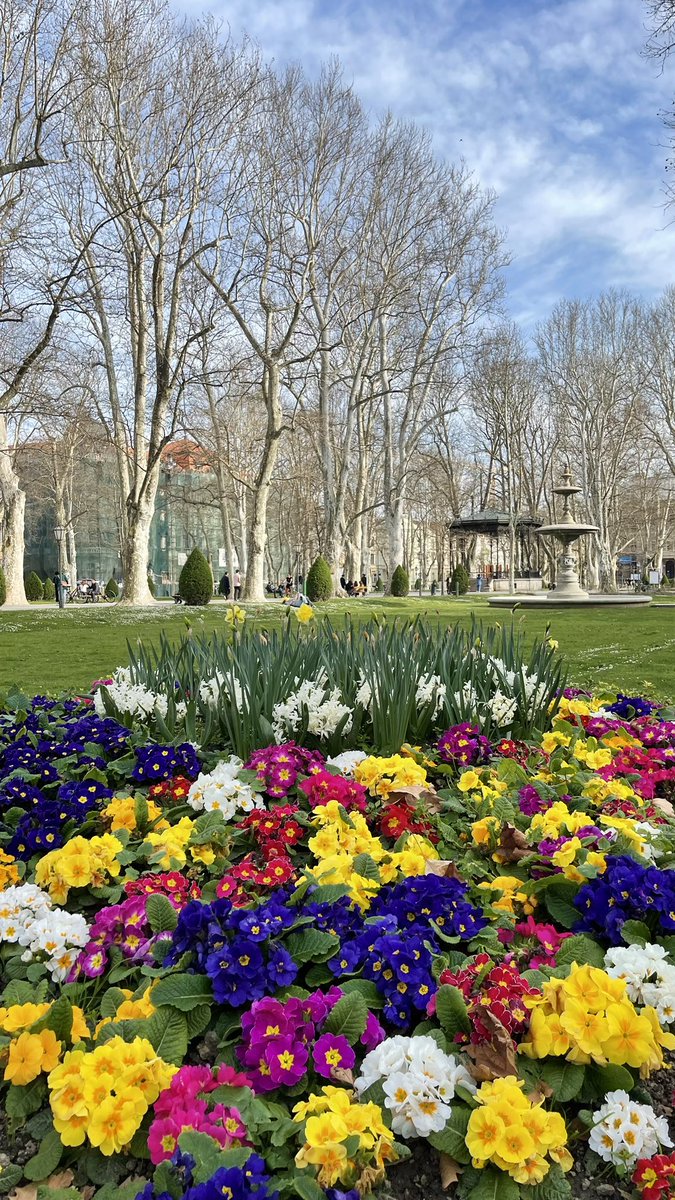 Spring has arrived 🌿🌼 Zrinjevac Park, Zagreb, today ☀️🌸 #Croatia 

#travel #travelinspiration #photography