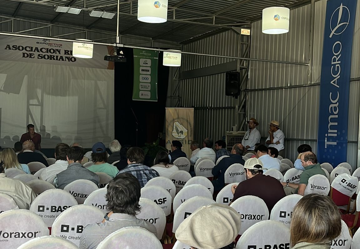 ANDEUruguay's tweet image. ¡Ahora! 🔈

▶️ En el cierre de la    @Expoactiva presentaremos los diferentes instrumentos de nuestro programa #ModoDigital para impulsar la transformación de empresas 📲🌐