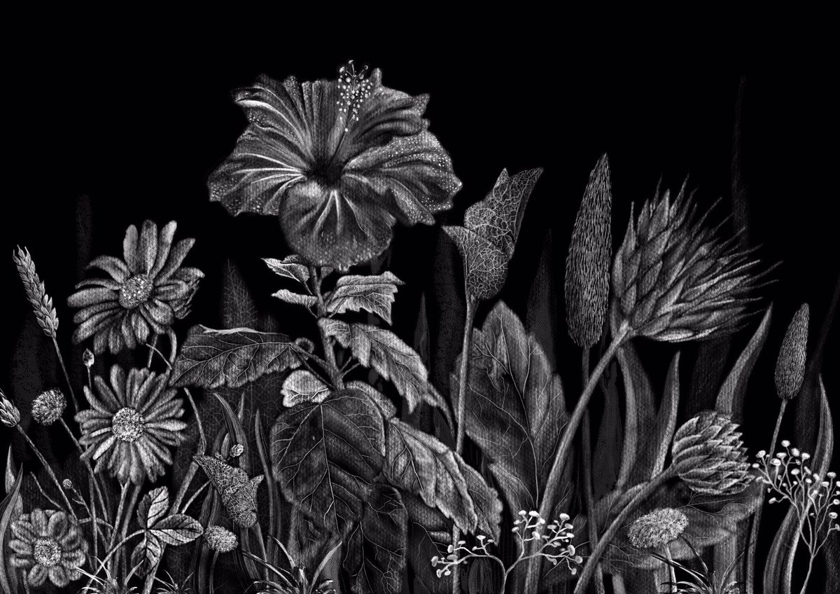 🥀Hibiscus rosa-sinensis L🥀
💰Place bid  0.35 $ETH 🔼
📍foundation.app/@minibus_art63…