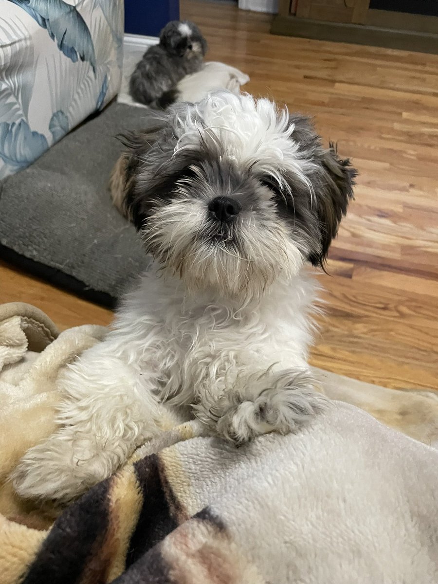 Dianne B Martin tweet media