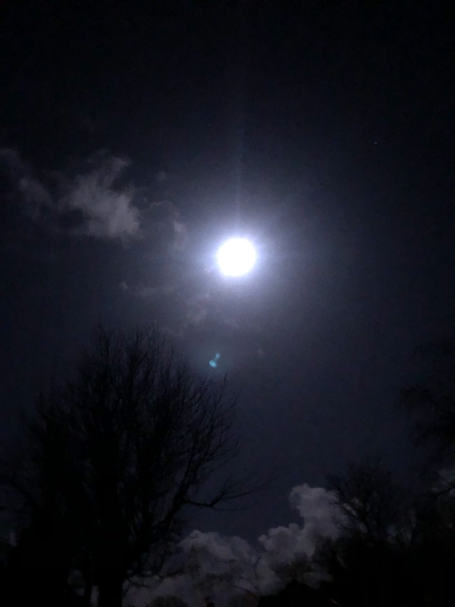 El Warren tweet media