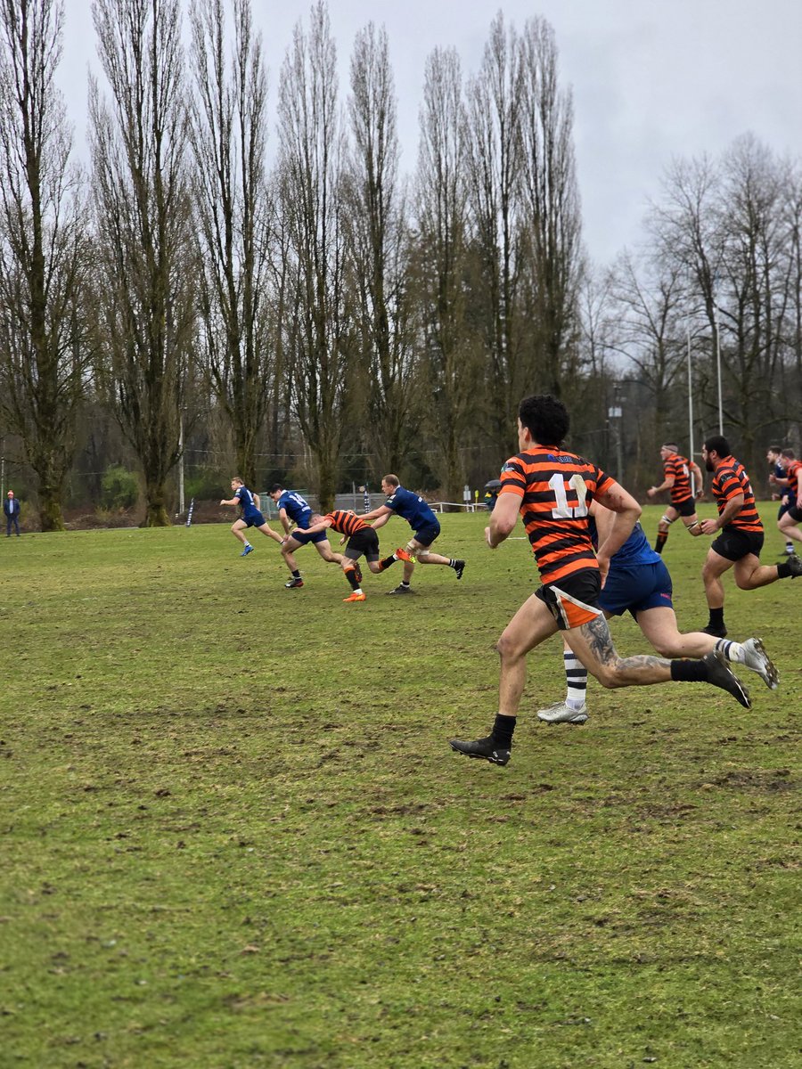 Connie McGinley Personal Real Estate Corporation tweet media