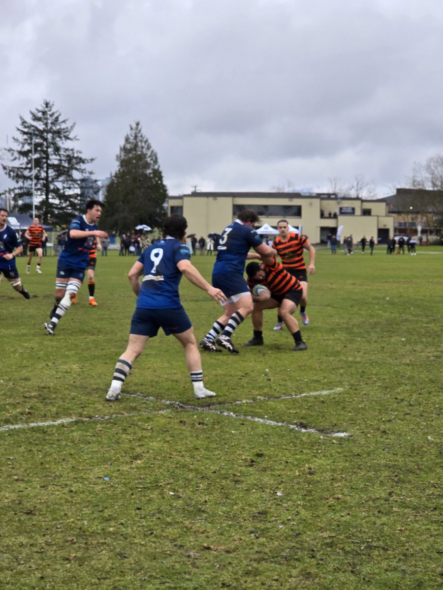 Connie McGinley Personal Real Estate Corporation tweet media