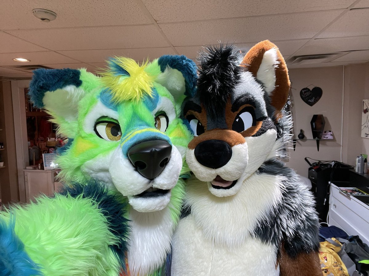 Happy #NationalCoyoteDay !

🔺: <a href="/ADkoyote/">Kunjamuk Yote</a>