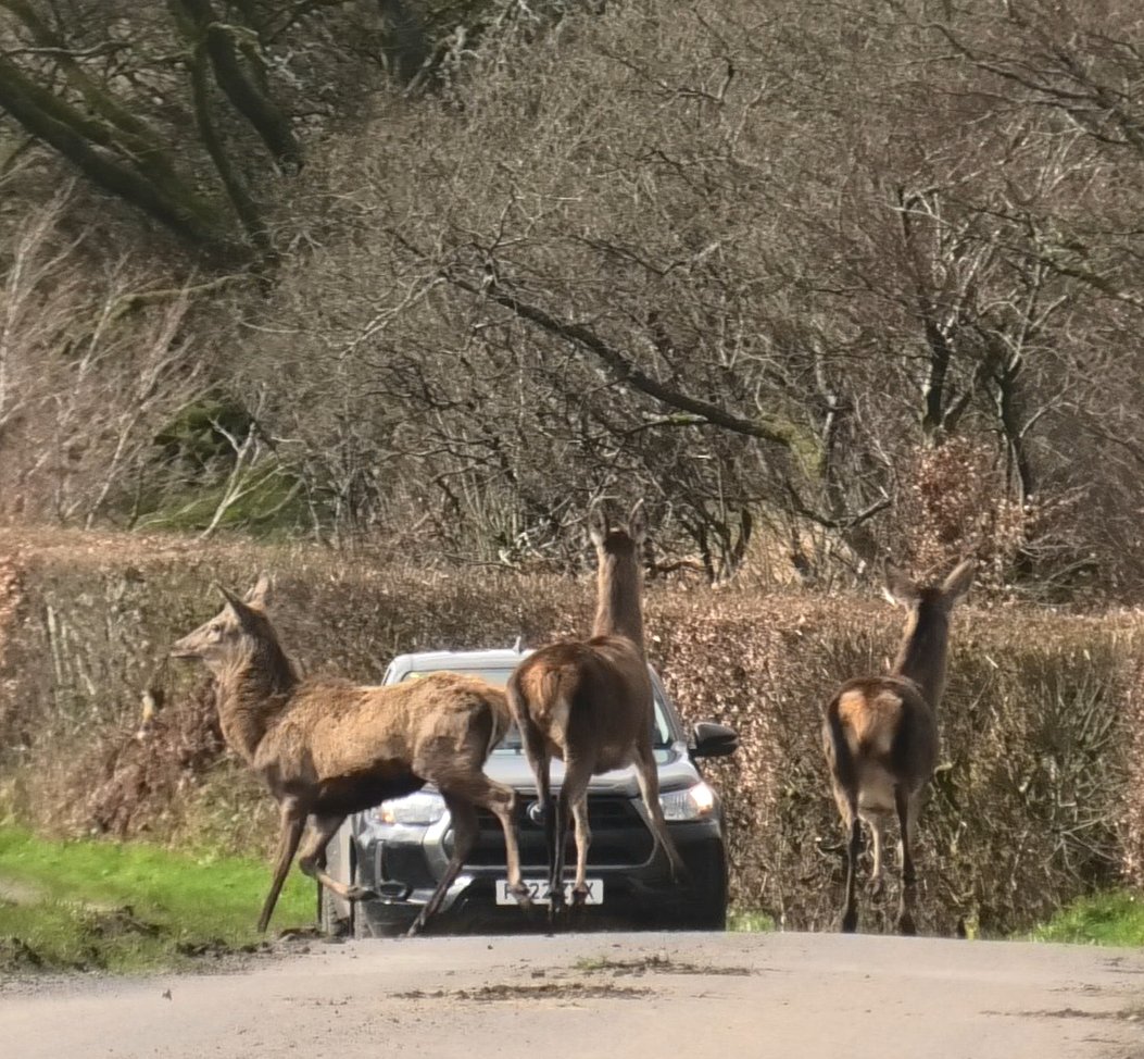 NDHuntSabs tweet picture