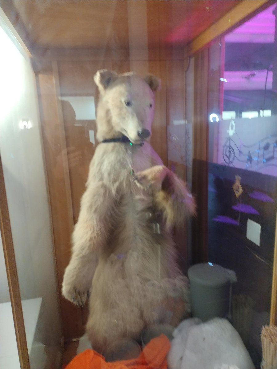 Campest stuffed polar bear ever. I can hear him in my head, Larry Grayson voice ' ooh, look at the muck in here'. HMS Sultan WO &SR's mess. One of my OH's ex colleagues 25th anniversary. They sold beer at very reasonable prices. I was happy. 😊😊😊