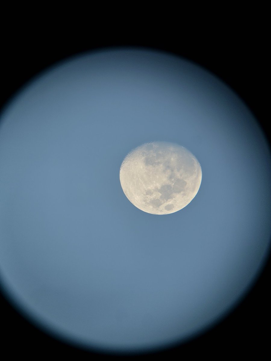 Astr0Batman's tweet photo. A shot of the moon on March 21 before sunset.
Shot using:
AperturaAD8, Super View 30mm
@SamsungMobileUS Galaxy S23 Ultra
#astronomy #backyardastronomy #visualastronomy #telescope #dobsonian #moon #moonhour #highpointscientific https://t.co/TqsaBHVDuv