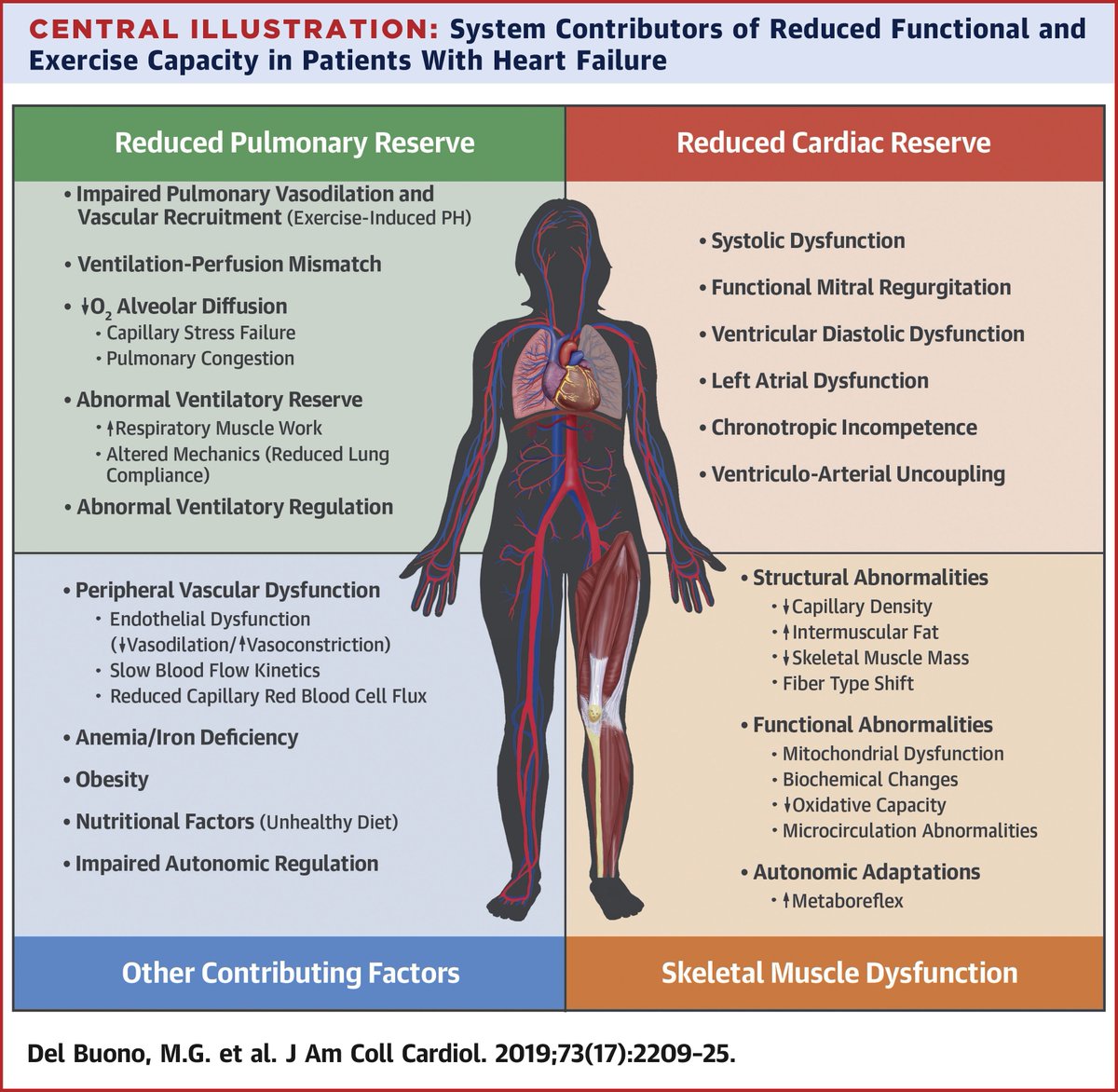 Exercise Intolerance in Patients With Heart Failure: JACC State-of-the-Art Review

👇👇👇

sciencedirect.com/science/articl…