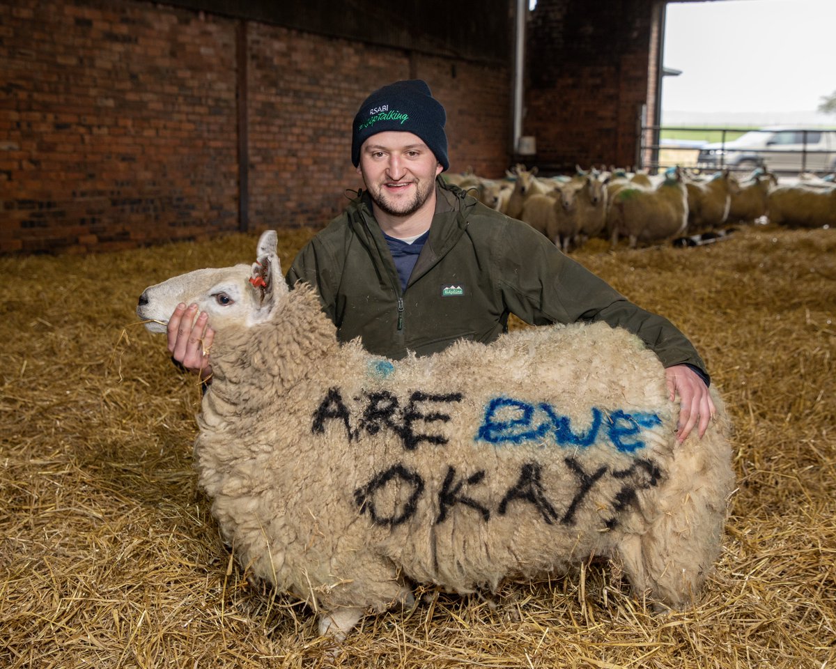 As we head into the busiest time of year on family livestock farms throughout Scotland, here’s some lighthearted artwork with a very serious message. Many thanks to Ally Brunton, National Vice-chair of @SAYFC, pictured in the lambing shed at Balmonth Farm. Please don’t forget to…