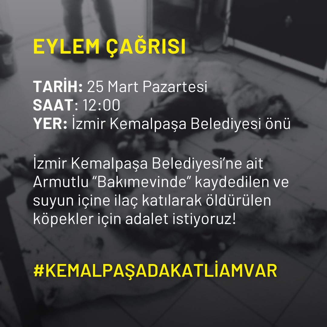 Bir belediye katliamı daha! #KemalpaşadaKatliamVar
📣 Hayvan hakları savunucuları ve bölgedeki gönüllüler, 25 Mart Pazartesi 12:00’de İzmir Kemalpaşa Belediyesi önünde İzmir Barosu Hayvan Hakları Komisyonu’ndan avukatların da katılacağı bir eylem düzenleyecek. Katılabilecek olan